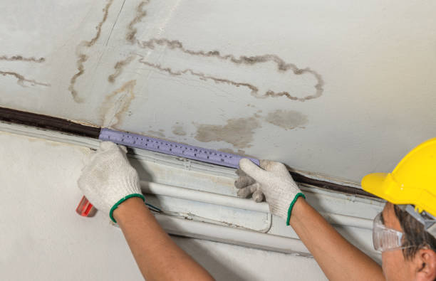 Reliable Water Damage contractor in Plainfield, MA by Water Damage Irwin